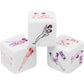 Lucky Sex Dice Game